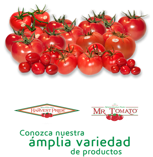 productos